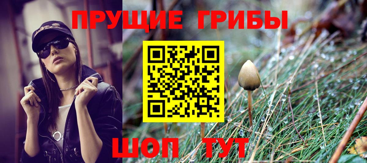 Кизляр  Псилоцибиновые грибы Psilocybe  Вход с VPN  Галлюциногенные грибы мухоморы 